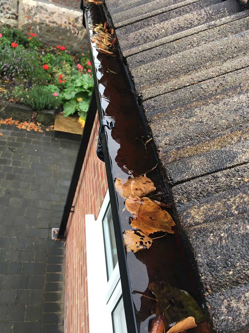 Gutter Cleaning